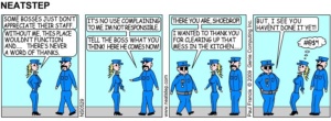 NS0529